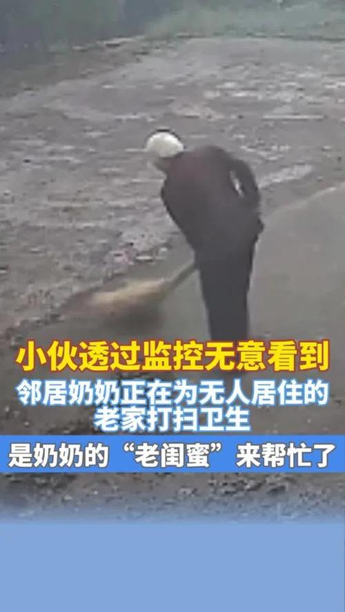 三年邻居情，老奶奶离世后，邻居默默承担清洁重任-图3