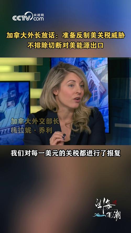 加拿大墨西哥联手突破美国关税壁垒-图3