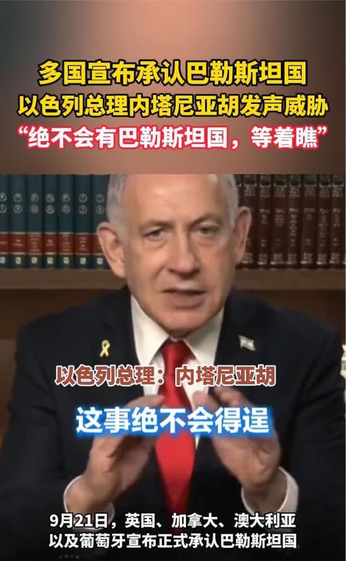 巴外长力促国际社会广泛承认巴勒斯坦国-图2