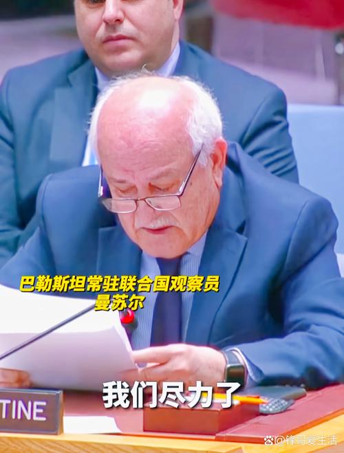 巴外长力促国际社会广泛承认巴勒斯坦国-图3