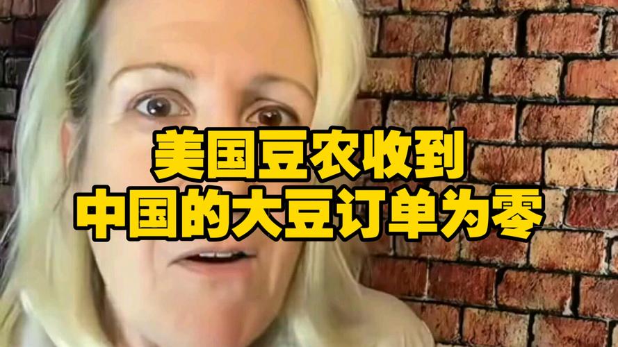 美国豆农面临中国订单零的困境-图1