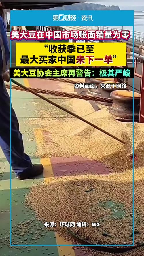 美国豆农面临中国订单零的困境-图2