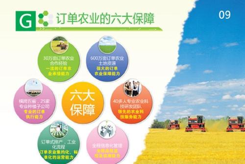 美国豆农面临中国订单零的困境-图3
