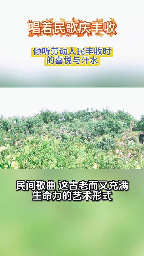 丰收之歌，民歌中的喜悦旋律-图1