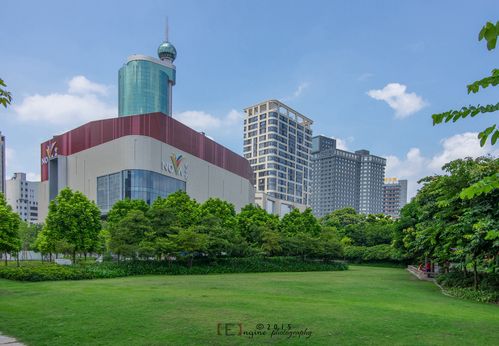 佛山商超全力备战‘风王’来袭，供应量翻倍保障民生-图3