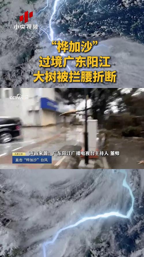 桦加沙暴席卷阳江，湖面狂涛树影摇曳-图3