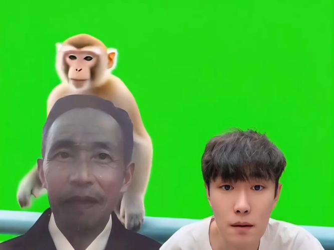 少爷视频剪辑制作全攻略-图3 少爷视频剪辑制作全攻略-图3
