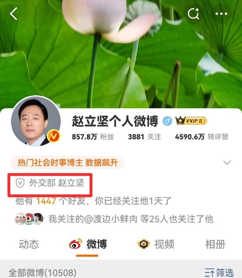 赵立坚点赞湖北文旅创新活动-图3 赵立坚点赞湖北文旅创新活动-图3