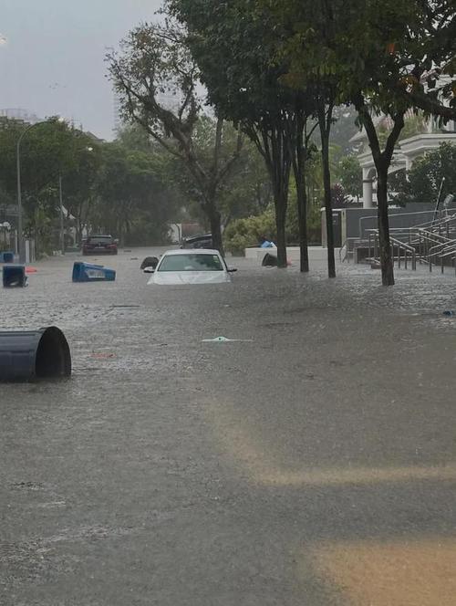 周末暴雨预警，多地迎来暴雨大暴雨天气-图3