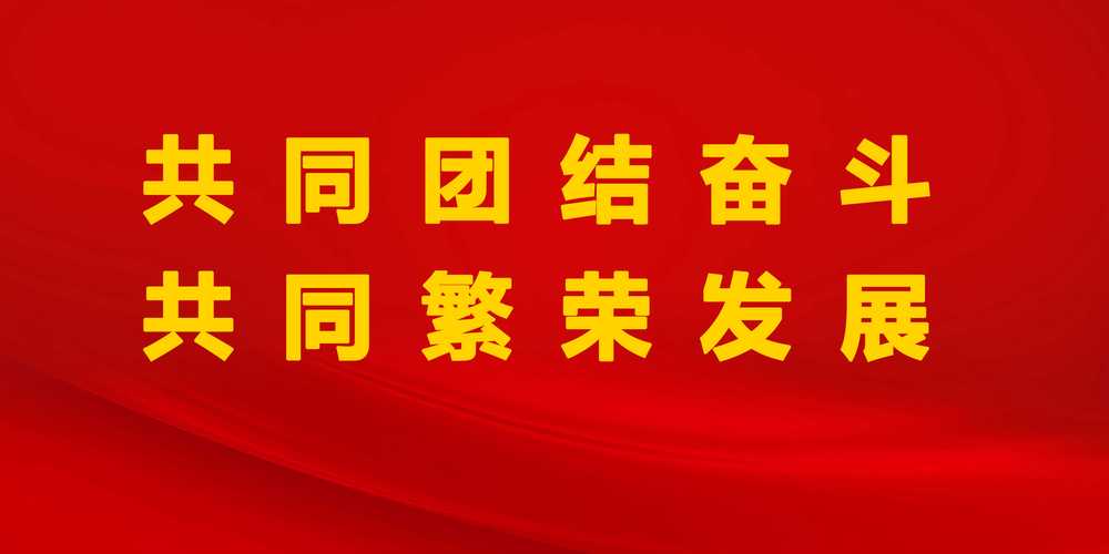 携手共建新疆美好未来-图3