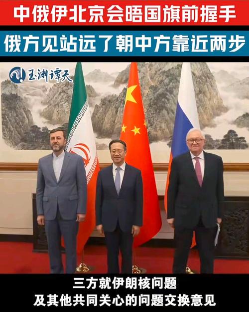 中俄巴伊四国携手发布共建和平与发展新篇章联合声明-图3