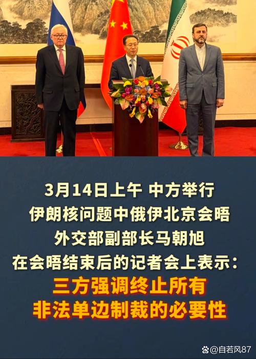 中俄巴伊四国携手发布共建和平与发展新篇章联合声明-图2