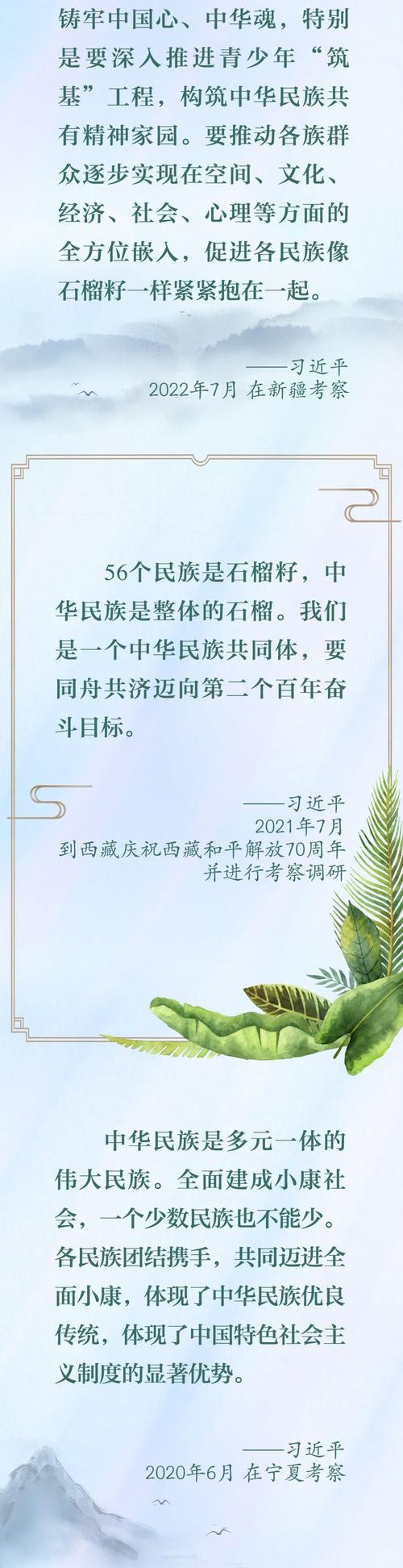 石榴籽精神，习近平强调的国家团结凝聚力-图1