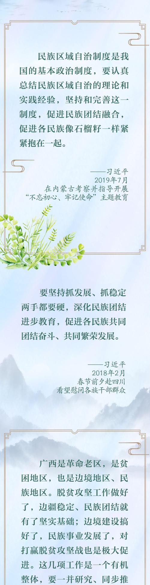 石榴籽精神，习近平强调的国家团结凝聚力-图2