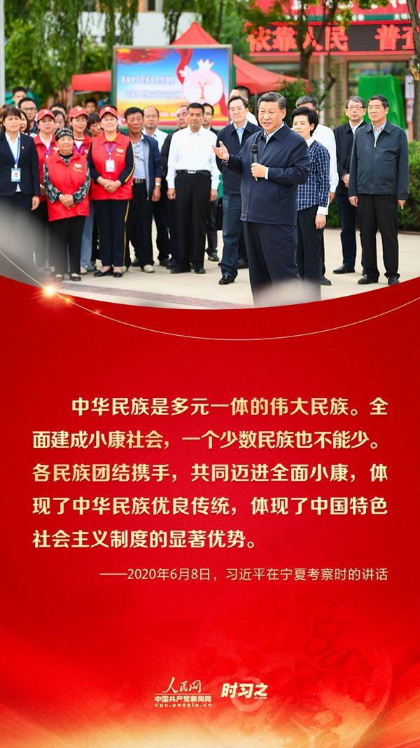 石榴籽精神，习近平强调的国家团结凝聚力-图3