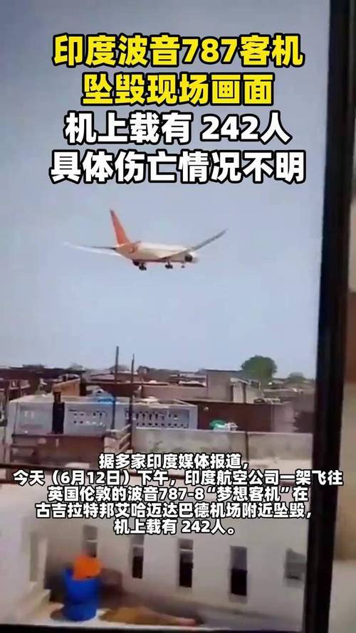 网红直播坠机意外，直播画面惊现失控瞬间-图2