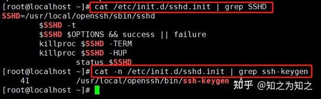 CentOS系统SSH升级至7.9版本教程-图1