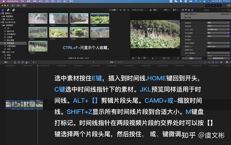 Crafting English Video Edits: A Comprehensive Guide-图2 Crafting English Video Edits: A Comprehensive Guide-图2
