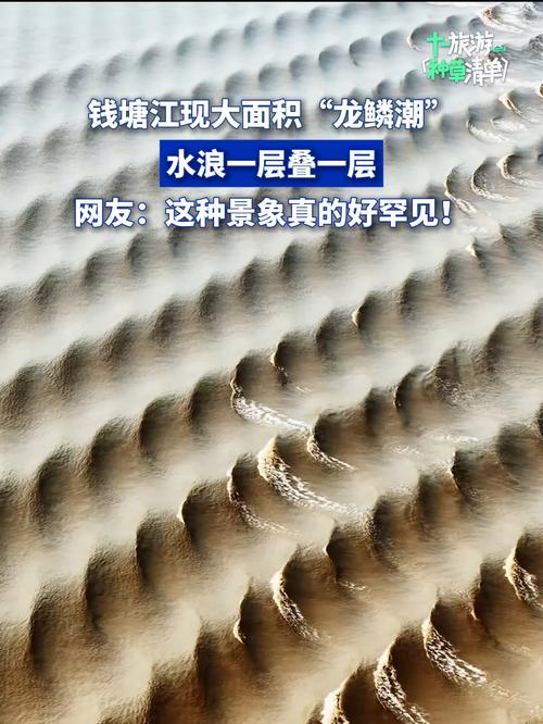 钱塘江现壮丽龙鳞潮奇观-图1