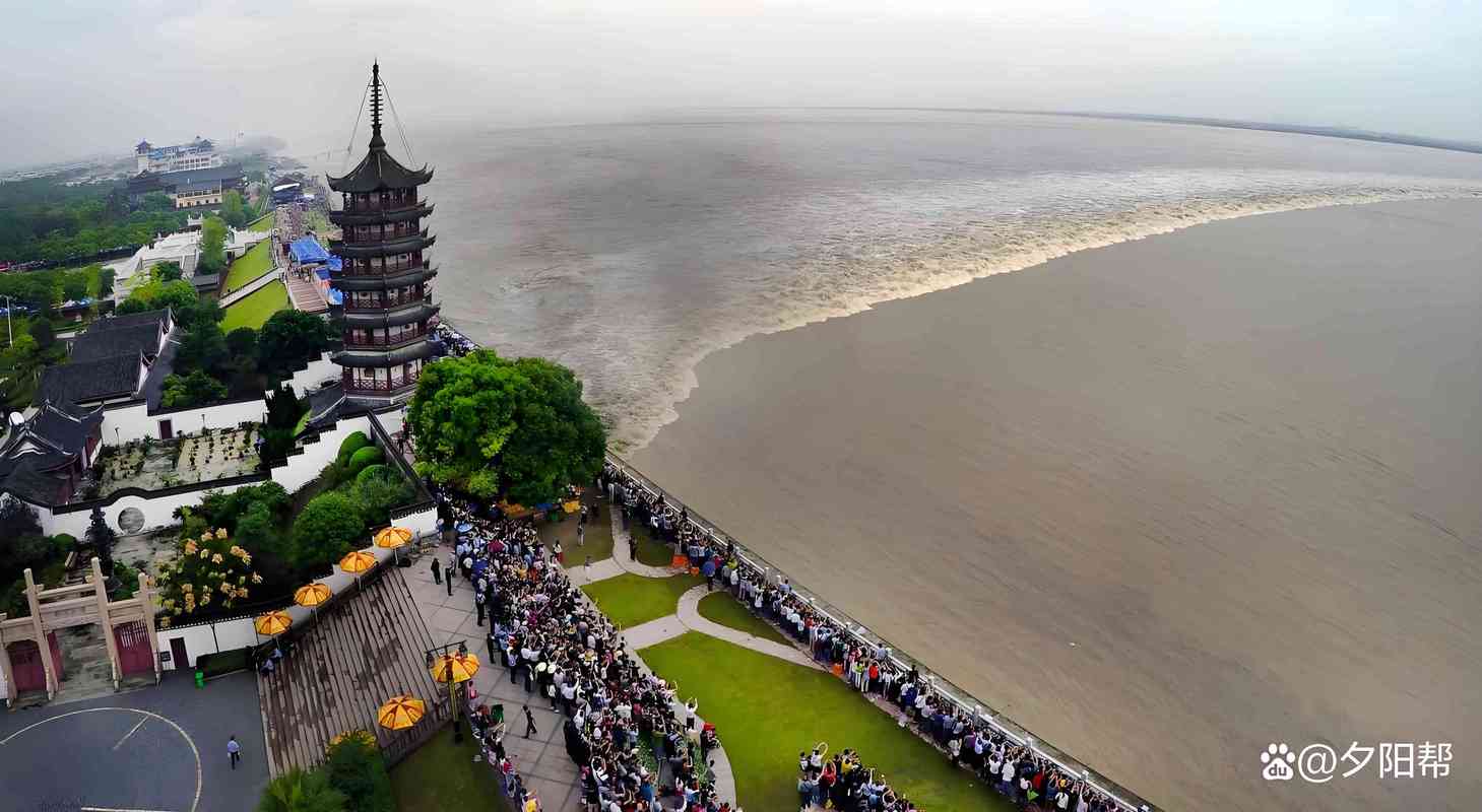 钱塘江现壮丽龙鳞潮奇观-图3