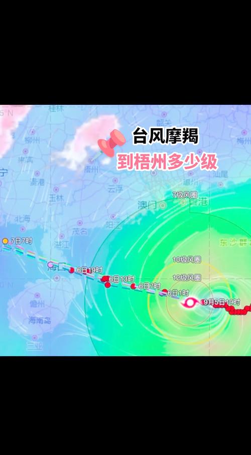 钦州应对台风实施紧急‘五停’措施-图1