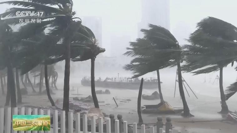 麦德姆登陆，狂风暴雨肆虐，树木摇曳成灾-图2