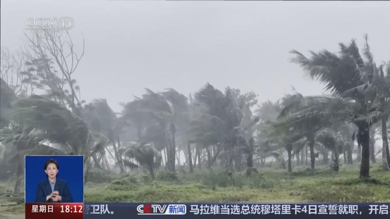 麦德姆登陆，狂风暴雨肆虐，树木摇曳成灾-图3
