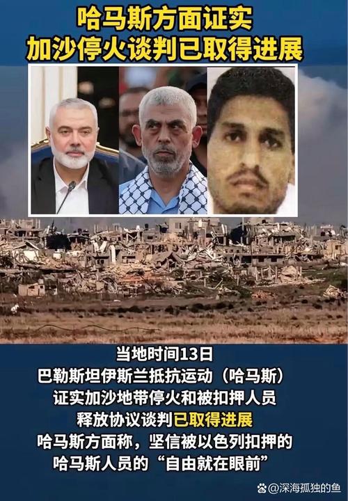 八国外长联合呼吁即刻终止加沙冲突-图3
