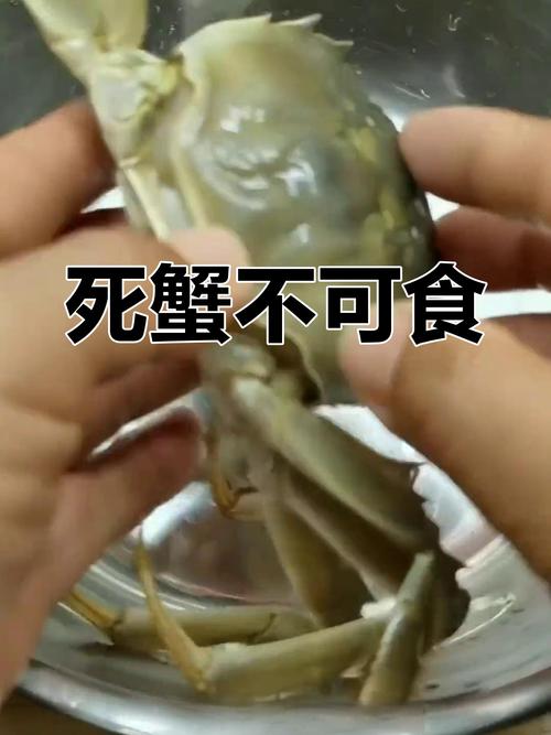刚死不久的螃蟹还能食用吗?-图2 刚死不久的螃蟹还能食用吗?-图2