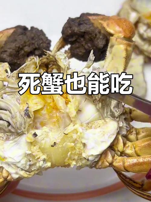刚死不久的螃蟹还能食用吗?-图1 刚死不久的螃蟹还能食用吗?-图1