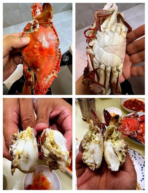 刚死不久的螃蟹还能食用吗?-图3 刚死不久的螃蟹还能食用吗?-图3