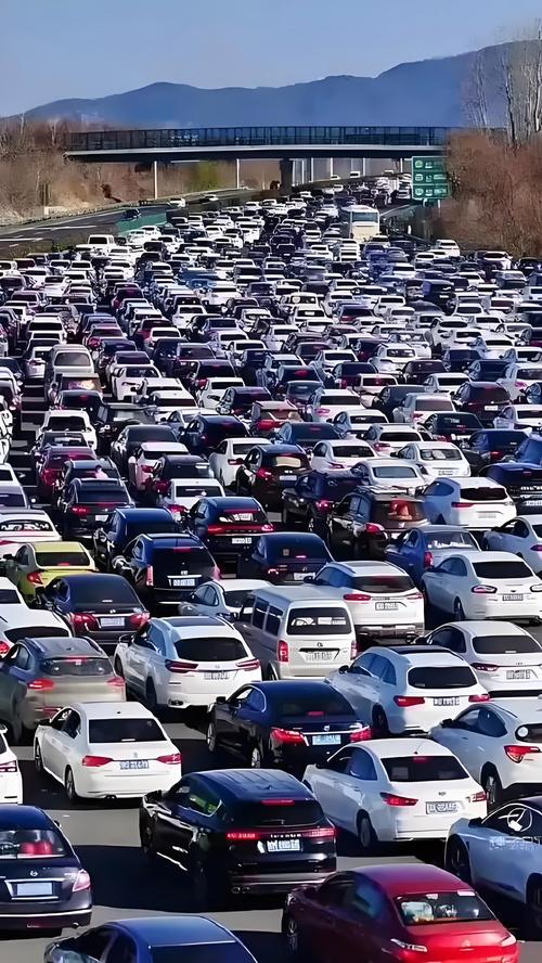 返程高峰大聪明现象引发拥堵关注-图2