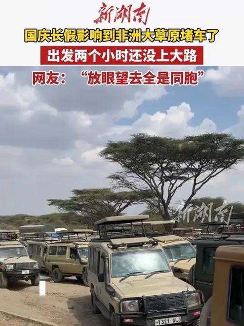中国假期来袭，东非草原旅游热引发交通拥堵-图1