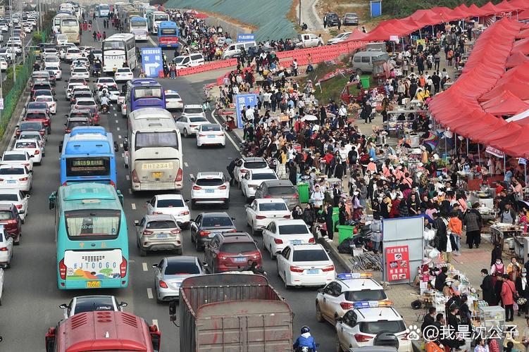 中国假期来袭，东非草原旅游热引发交通拥堵-图2