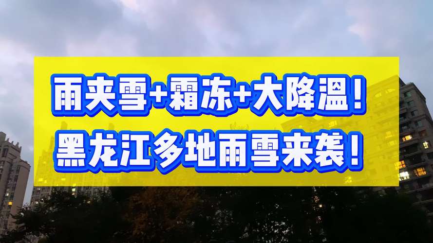 漠河雨雪交织，冬日风情浓烈-图3