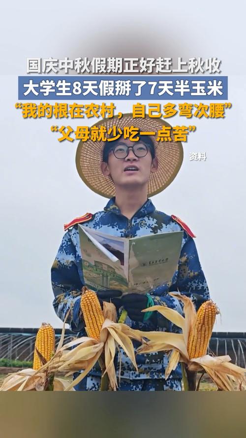 国庆假期大学生玉米田疯狂7天半-图2