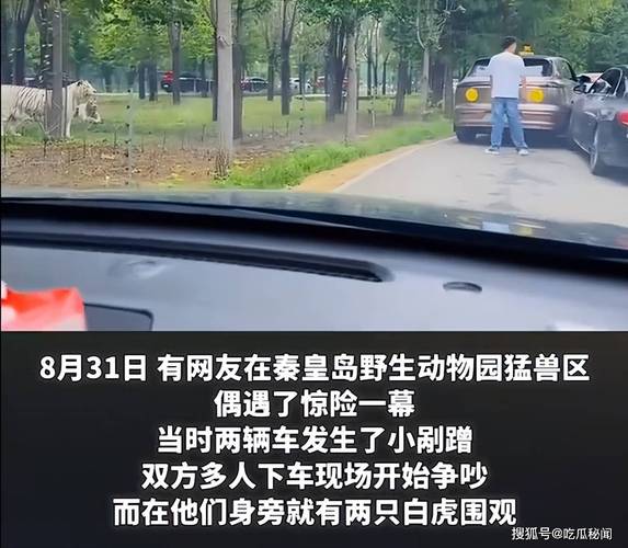 动物园观光车意外事件，老虎下巴受伤真相揭晓-图1