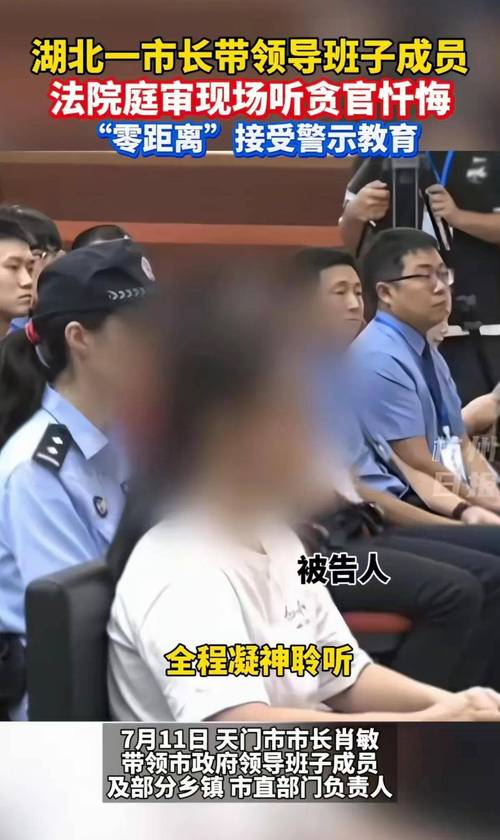湖北市长亲自应诉民告官案件-图2