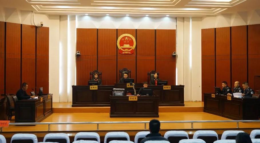 湖北市长亲自应诉民告官案件-图3