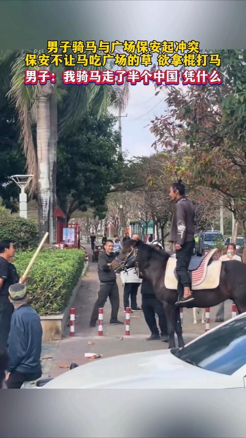 大理洱海骑马冲突事件，男子与保安起争执-图2