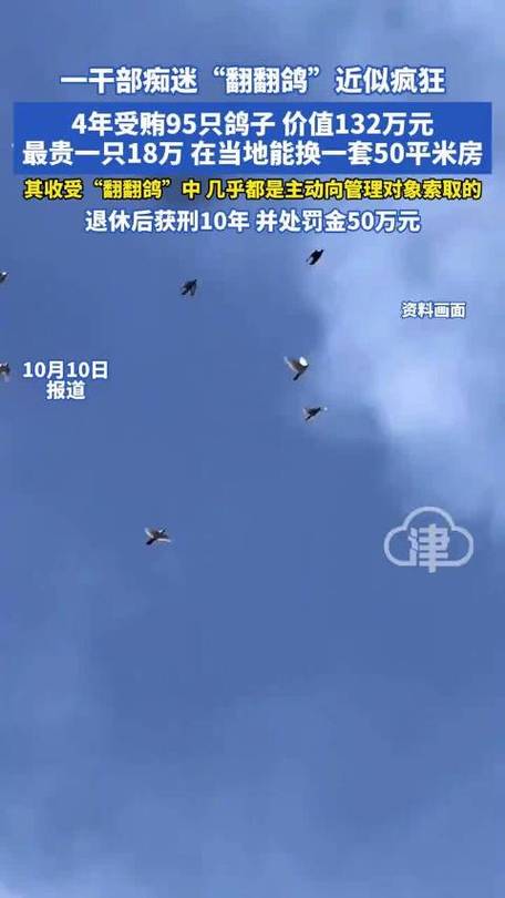 干部沉迷翻翻鸽四年敛财95只被判刑-图2 干部沉迷翻翻鸽四年敛财95只被判刑-图2