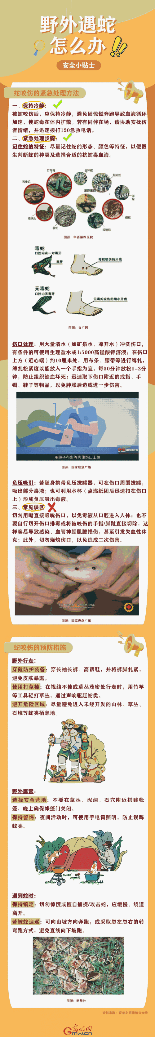 驴友山中奇遇,捡到毒蛇竟轮流抚摸求证?-图2 驴友山中奇遇,捡到毒蛇竟轮流抚摸求证?-图2