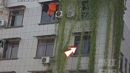 浙江居民楼现奇观，空心菜瀑布倾泻而下-图1