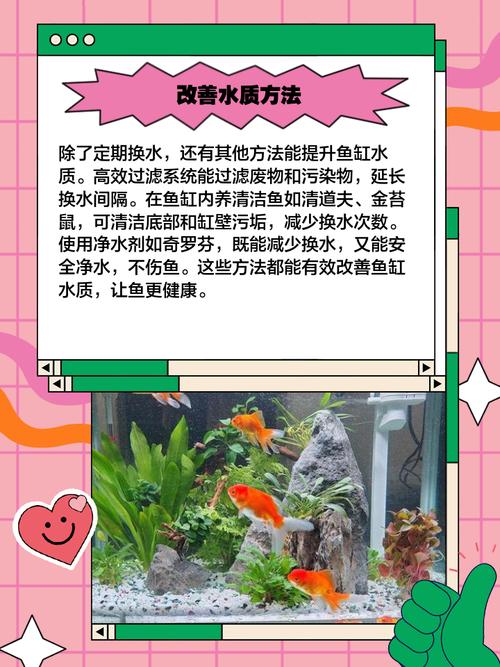 水族变装视频剪辑教程-图2