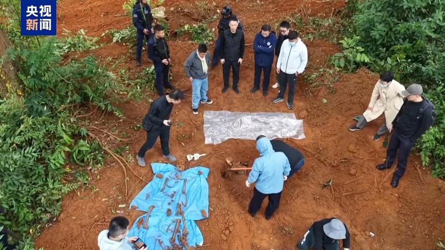 缅北魏家接班人血腥手段揭露-图1