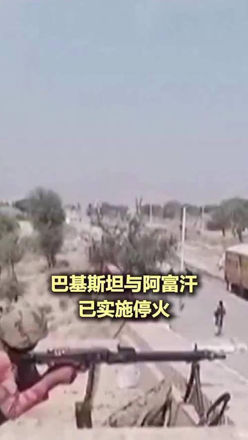 巴阿边境实现停火，地区和平进程迈出重要一步-图3