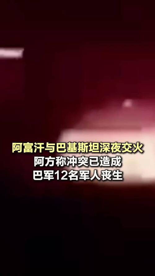 巴阿边境实现停火，地区和平进程迈出重要一步-图2