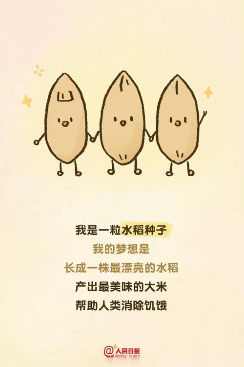 中国守护粮食安全，每一粒米的坚守-图3