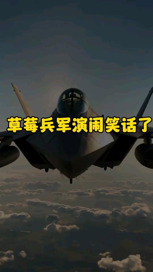 韩媒讽刺台军‘草莓兵’引发热议-图2