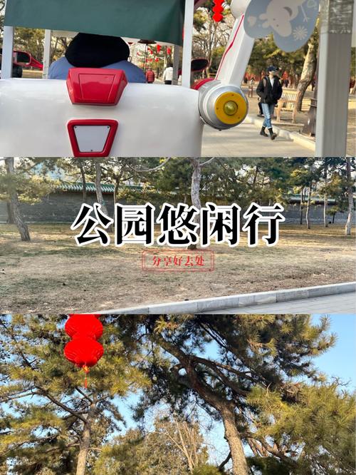 地坛公园新潮打卡姿势引领潮流风尚-图3